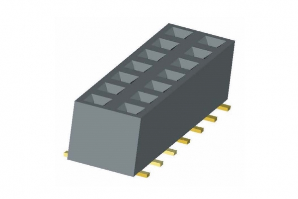 2025-BS202